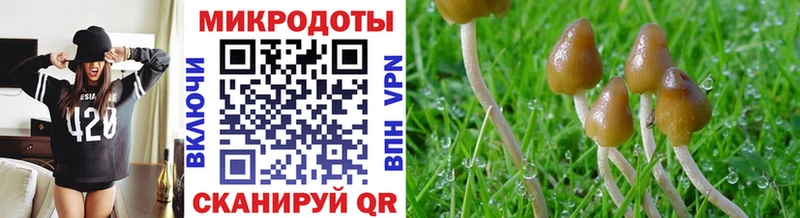 Псилоцибиновые грибы Cubensis Батайск